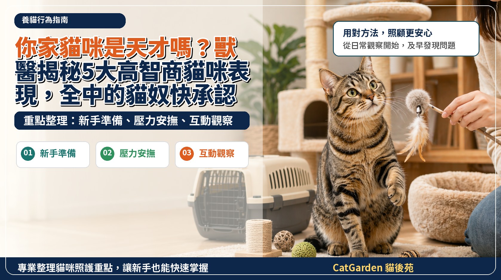 你家貓咪是天才嗎？獸醫揭秘5大高智商貓咪表現，全中的貓奴快承認！ 封面圖