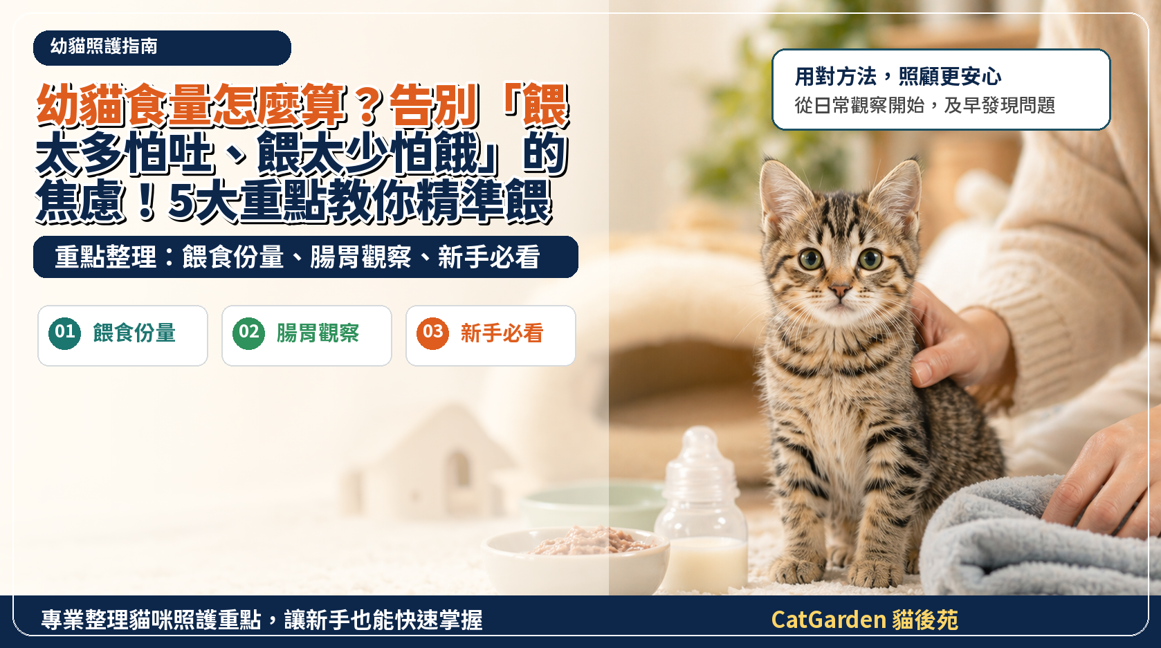 幼貓食量怎麼算？告別「餵太多怕吐、餵太少怕餓」的焦慮！5大重點教你精準餵食 封面圖