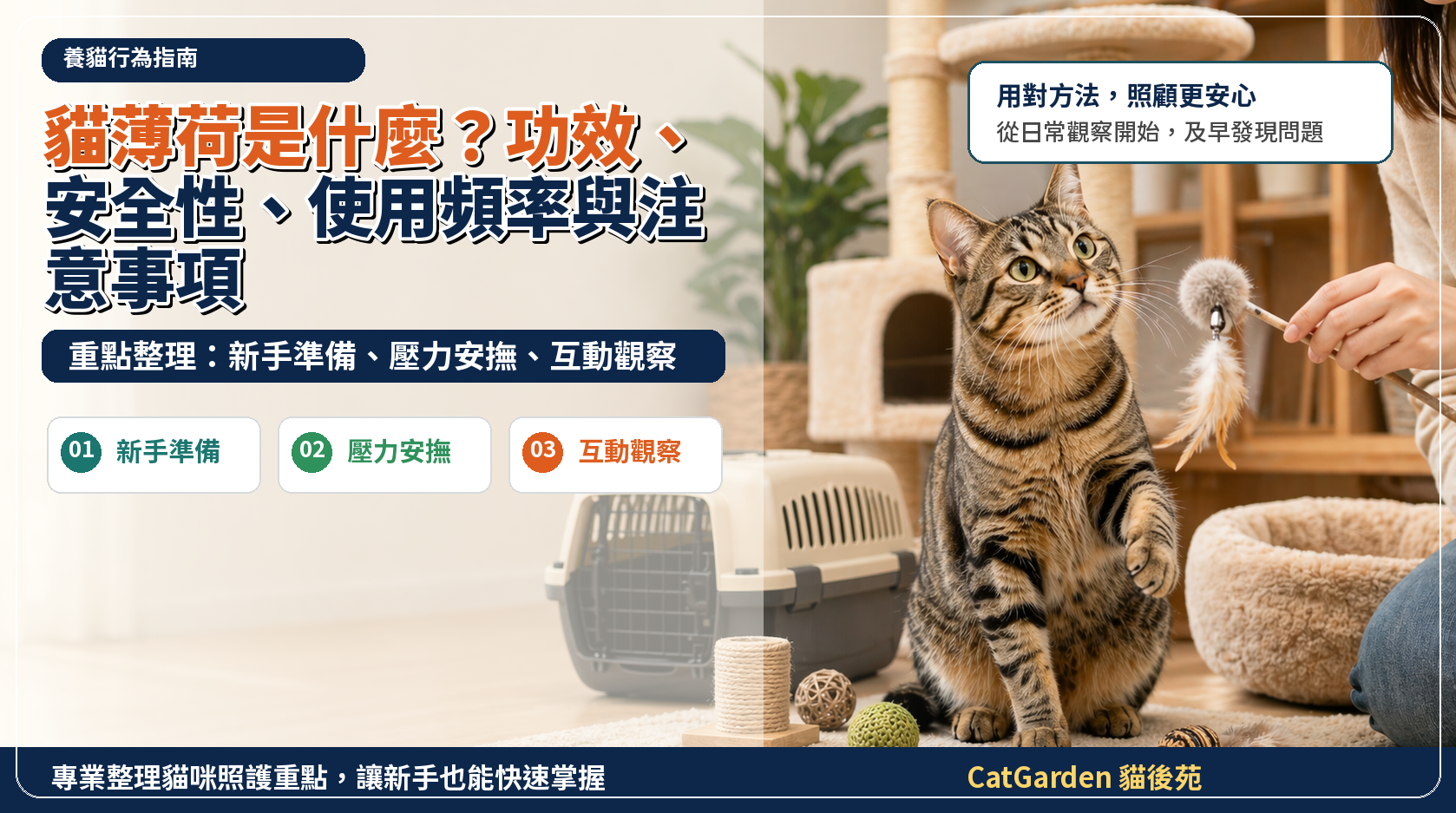 貓薄荷是什麼？功效、安全性、使用頻率與注意事項 封面圖