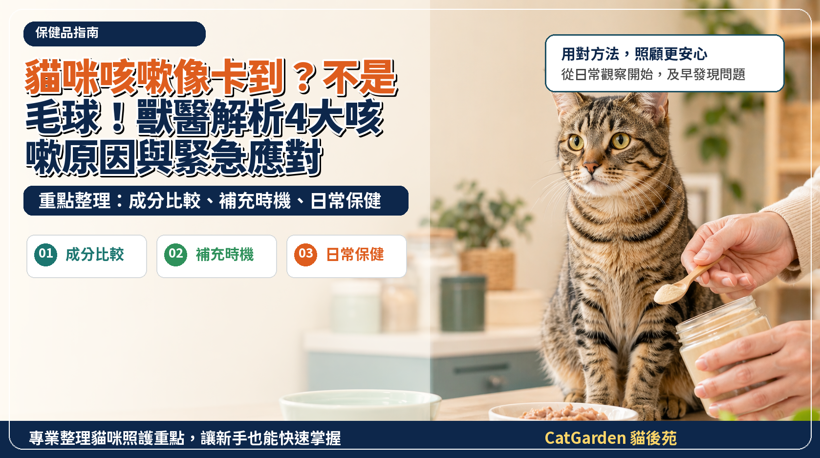 貓咪咳嗽像卡到？不是毛球！獸醫解析4大咳嗽原因與緊急應對 封面圖