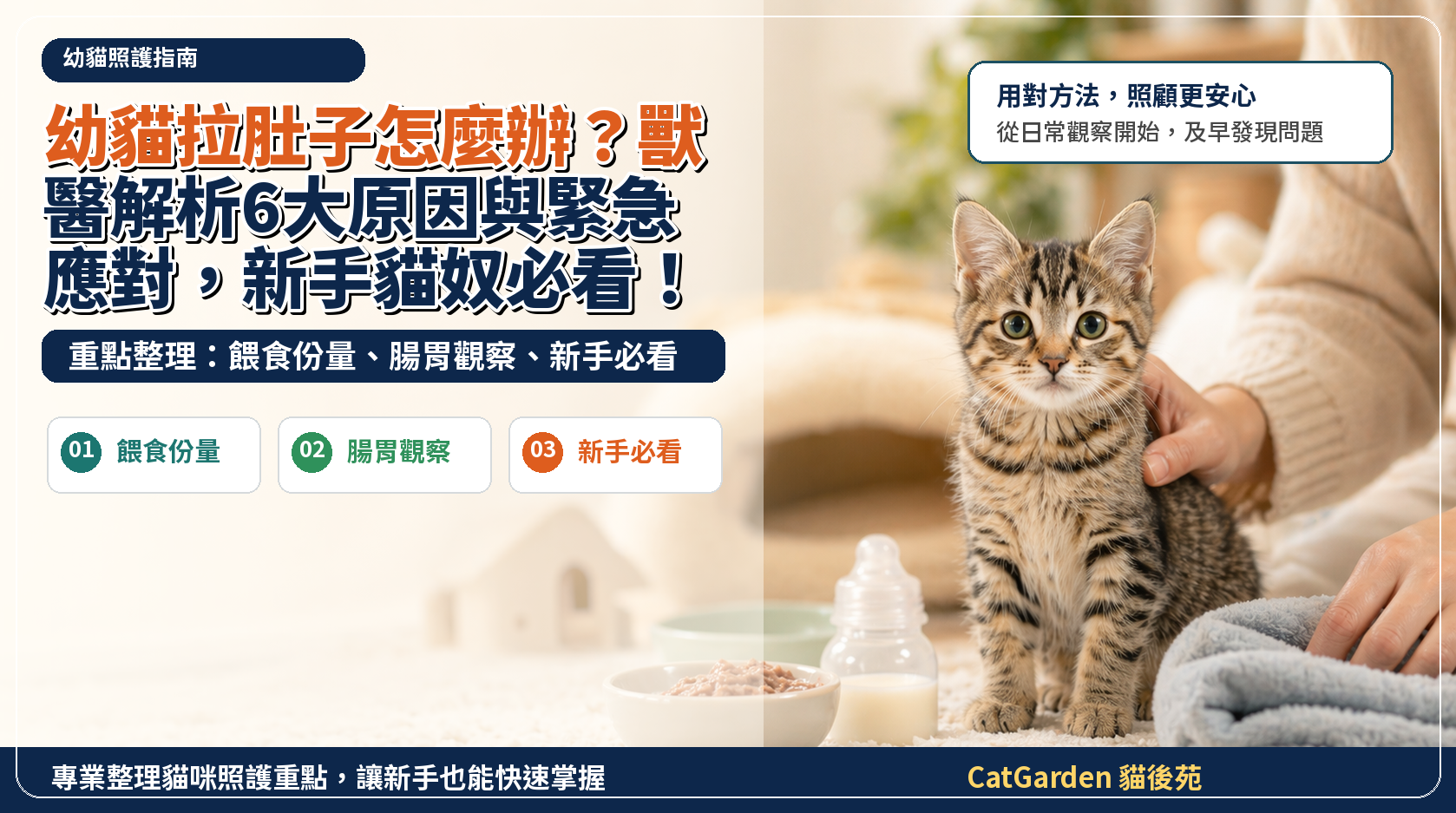 幼貓拉肚子怎麼辦？獸醫解析6大原因與緊急應對，新手貓奴必看！ 封面圖