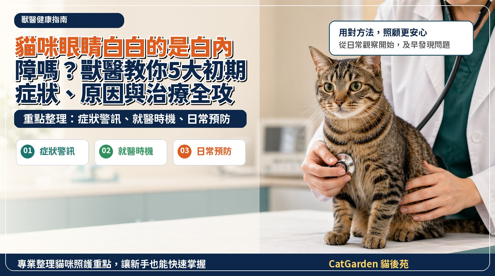 貓咪眼睛白白的是白內障嗎？獸醫教你5大初期症狀、原因與治療全攻略 封面圖