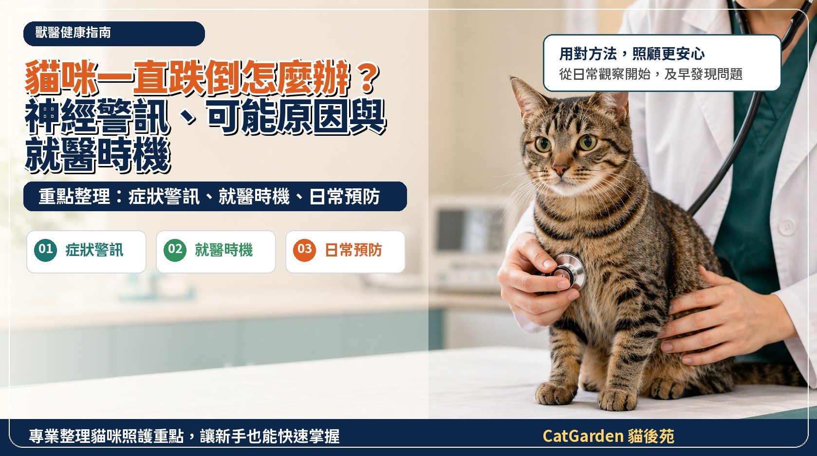 貓咪一直跌倒怎麼辦？神經警訊、可能原因與就醫時機 封面圖