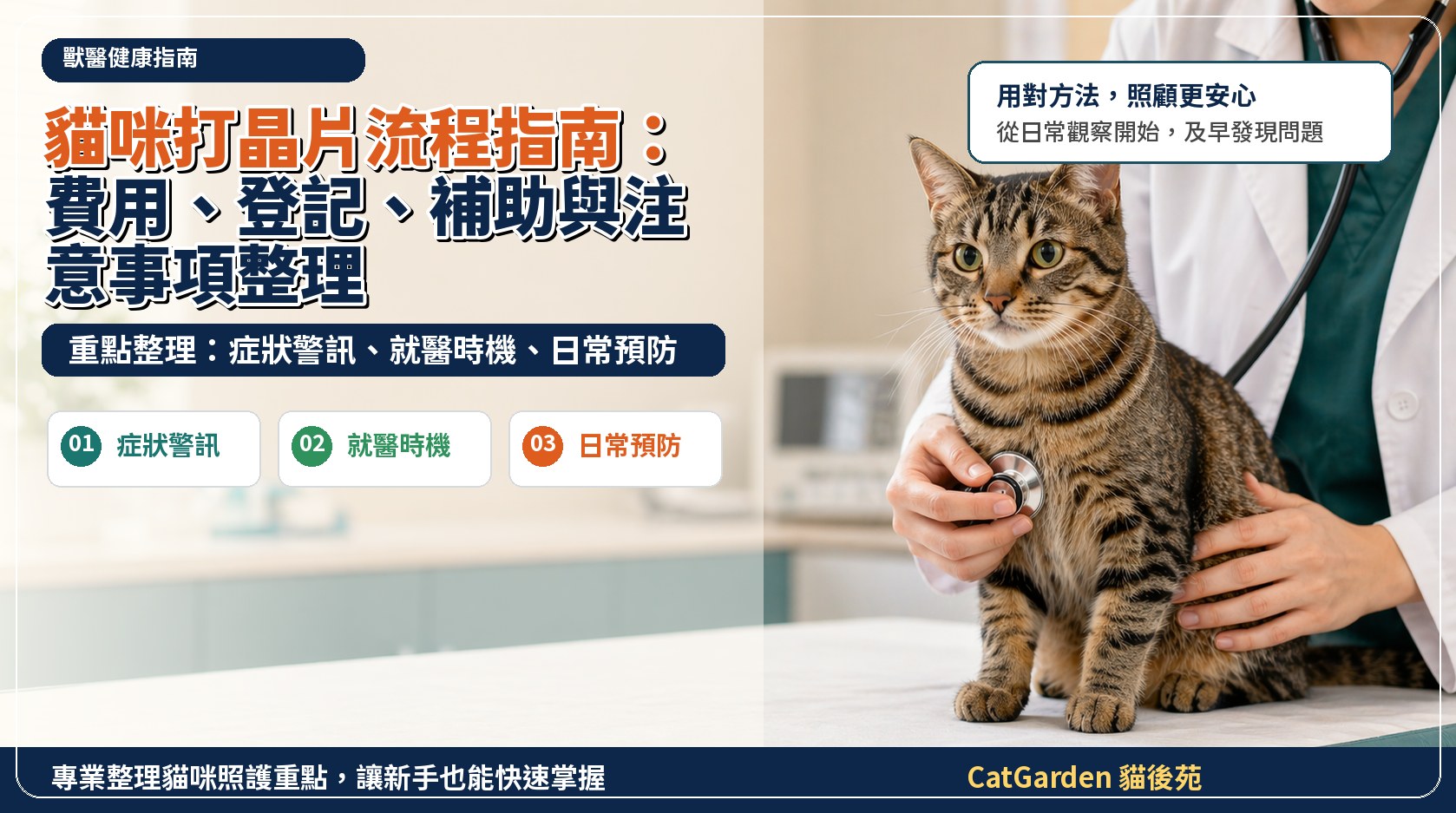 貓咪打晶片流程指南：費用、登記、補助與注意事項整理 封面圖