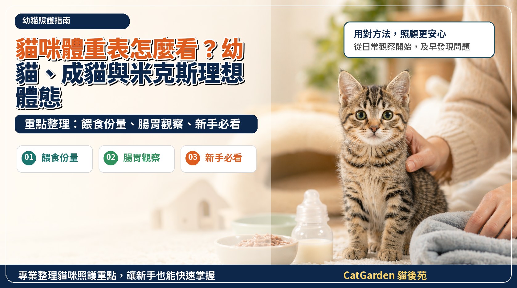 貓咪體重表怎麼看？幼貓、成貓與米克斯理想體態 封面圖