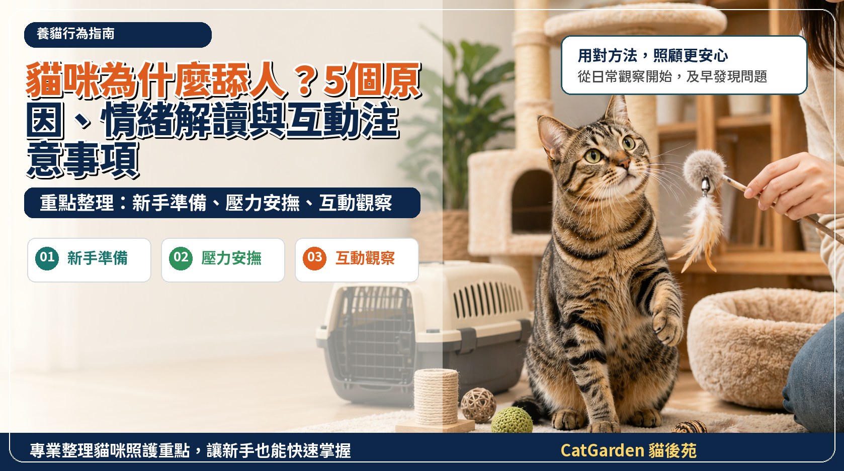 貓咪為什麼舔人？5 個原因、情緒解讀與互動注意事項 封面圖