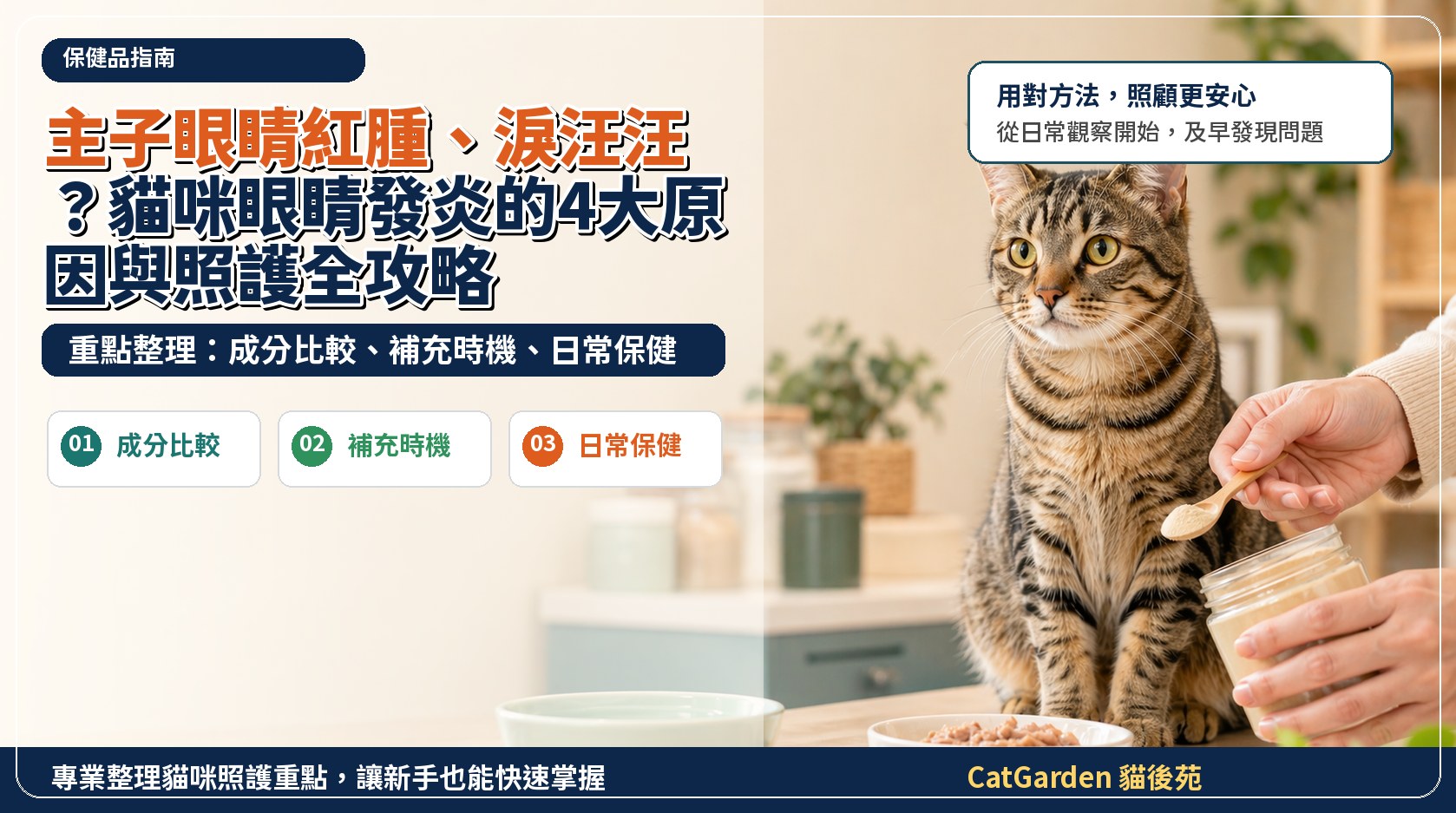 主子眼睛紅腫、淚汪汪？貓咪眼睛發炎的4大原因與照護全攻略 封面圖