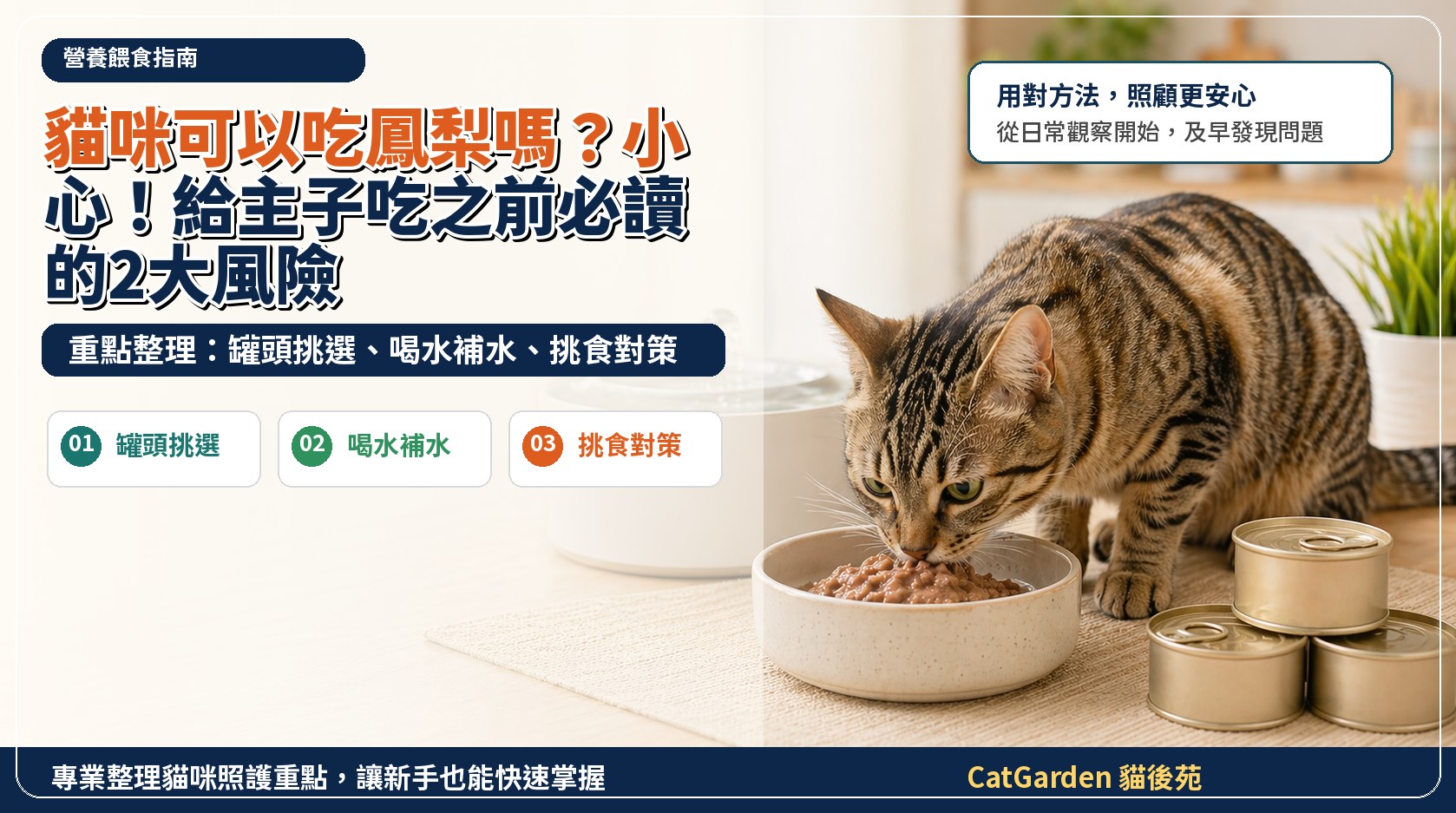 貓咪可以吃鳳梨嗎？小心！給主子吃之前必讀的2大風險 封面圖